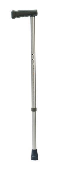 Aluminum Walking Stick