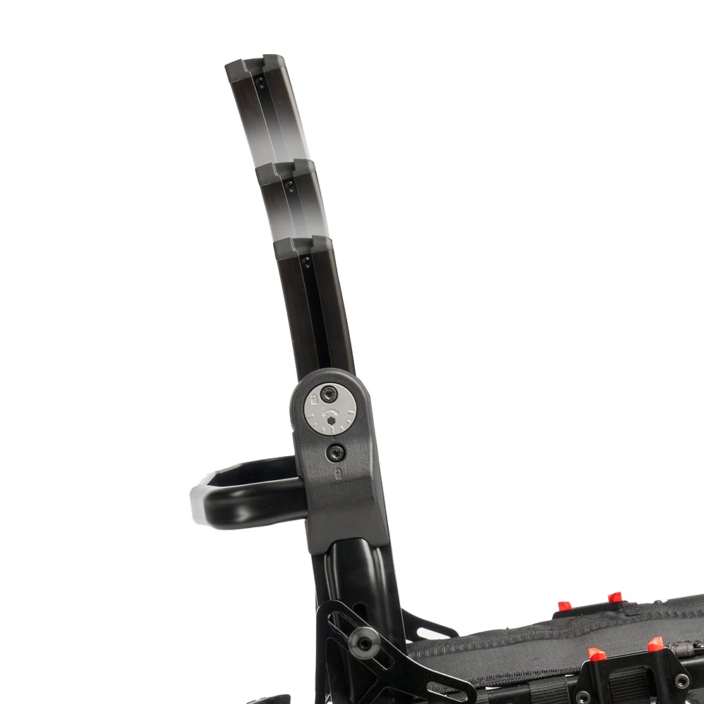 Back height - Altitudo